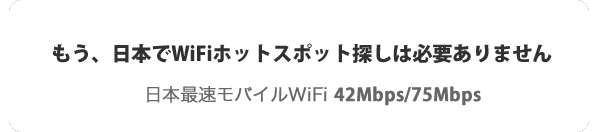 レンタル ポケット wifi