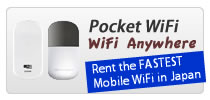PocketWiFi Mifi